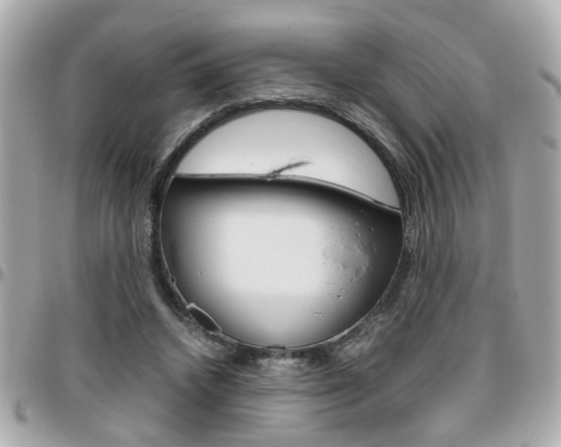 X0000096440448200801241121