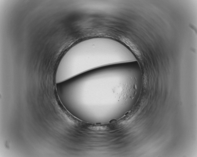 X0000096440449200801241121