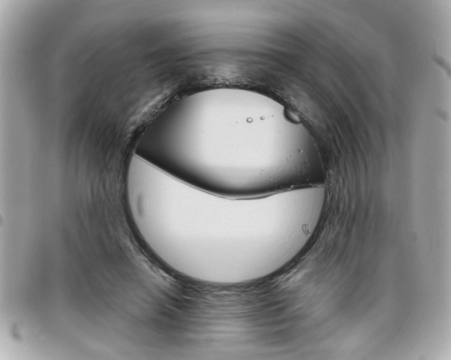 X0000096440450200801241122