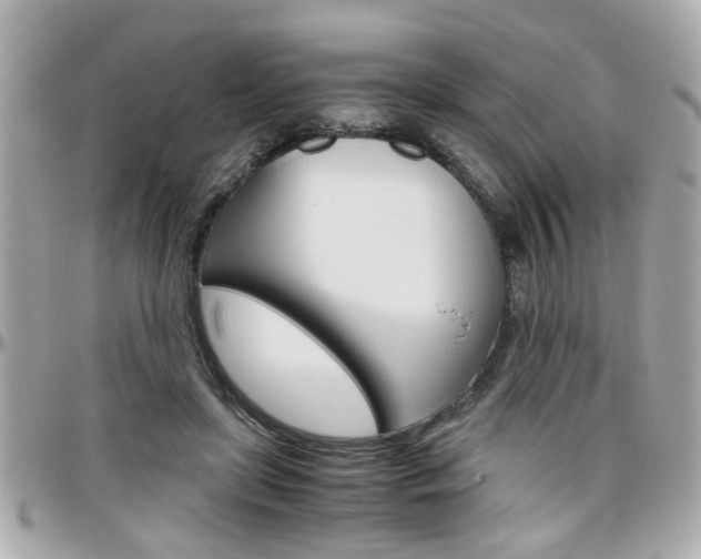 X0000096440451200801241122