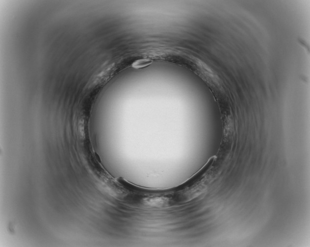 X0000096440452200801241122