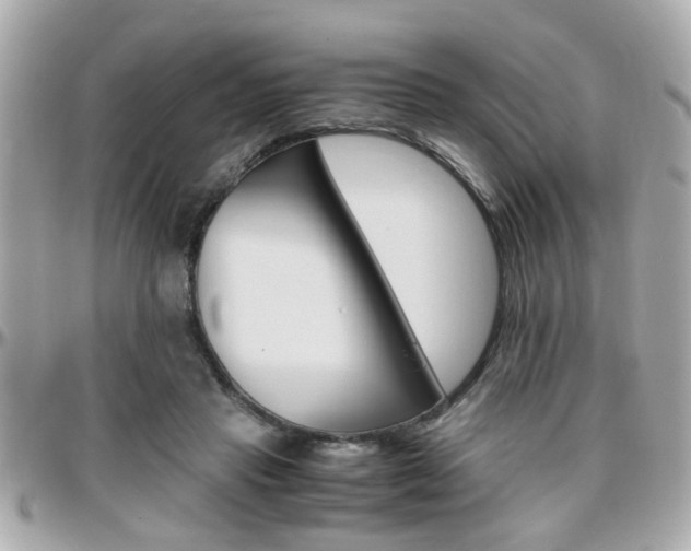 X0000096440453200801241122
