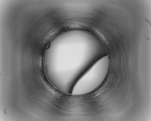 X0000096440454200801241122