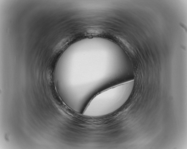 X0000096440455200801241122