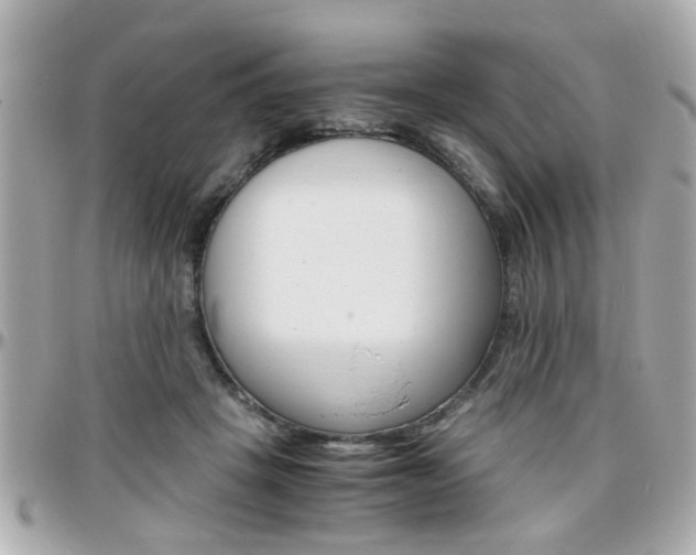 X0000096440457200801241122