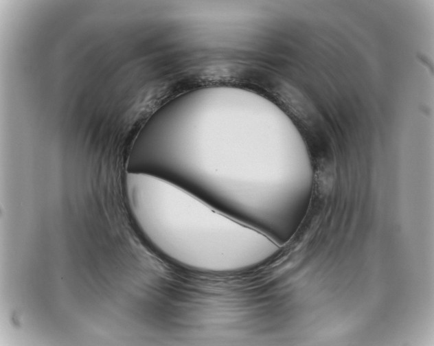 X0000096440458200801241122