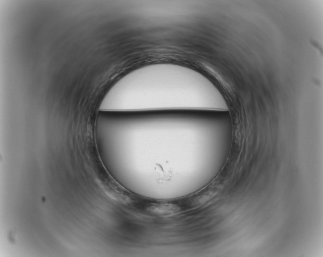 X0000096440459200801241122