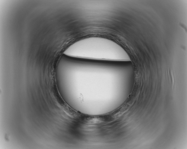X0000096440460200801241122