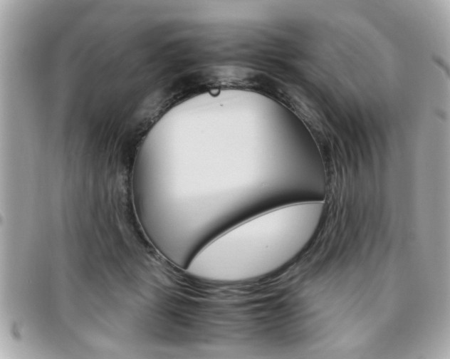 X0000096440461200801241122