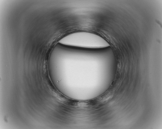 X0000096440462200801241122