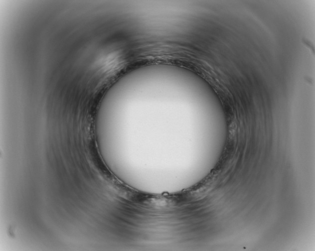 X0000096440464200801241122