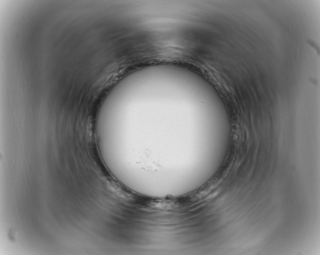 X0000096440466200801241122