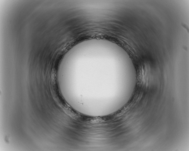 X0000096440468200801241122