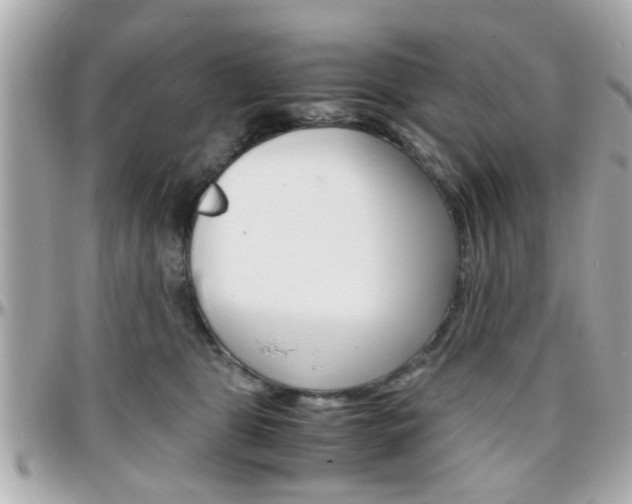 X0000096440469200801241122