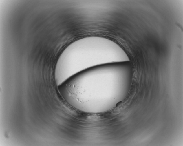 X0000096440470200801241122