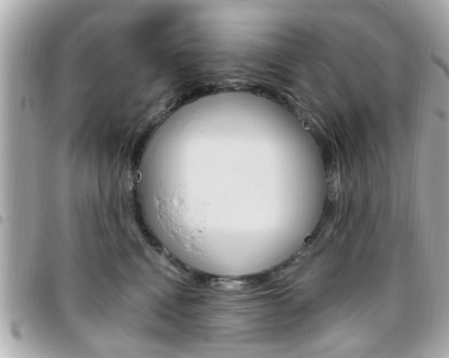 X0000096440472200801241122