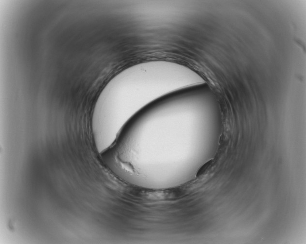 X0000096440473200801241122