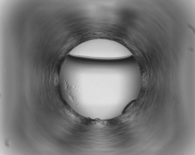 X0000096440474200801241122