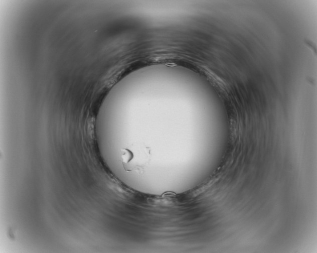 X0000096440475200801241122