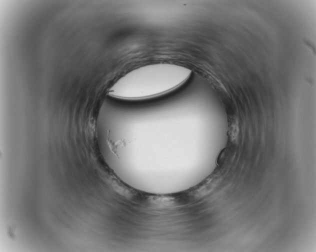 X0000096440476200801241122