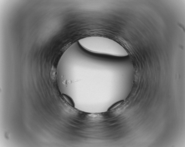 X0000096440477200801241122