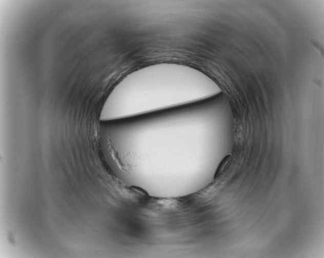 X0000096440478200801241122