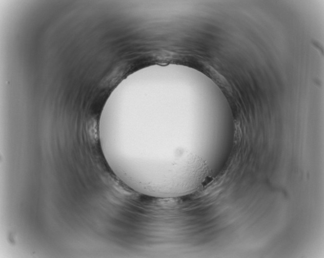 X0000096440479200801241122