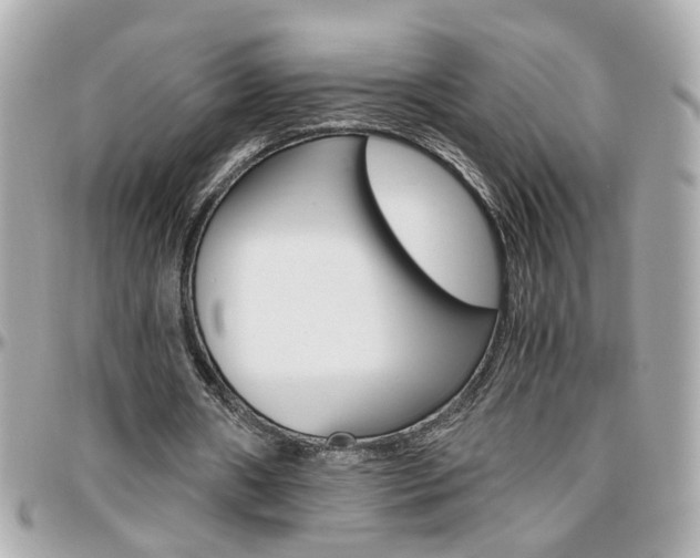 X0000096440482200801241121