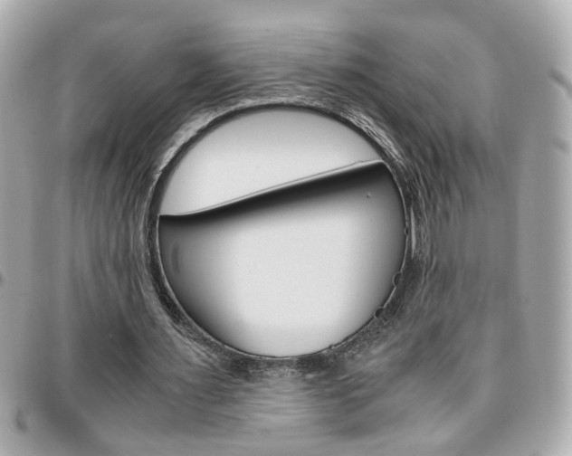 X0000096440483200801241121
