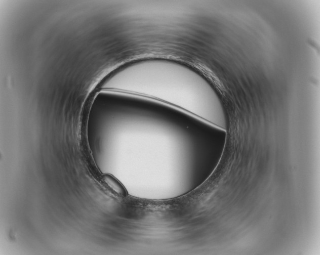 X0000096440484200801241121