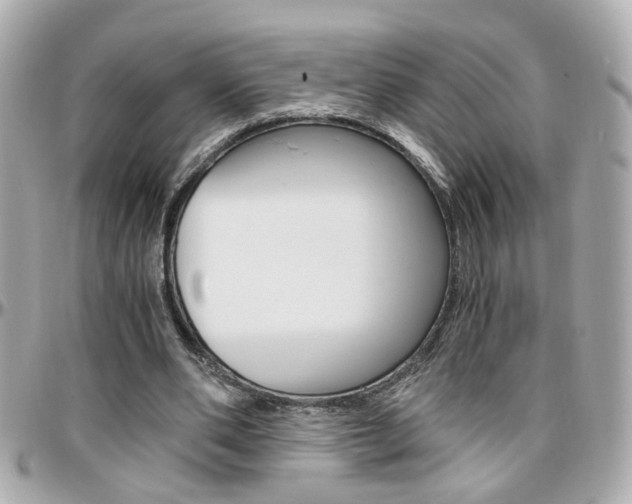 X0000096440486200801241121