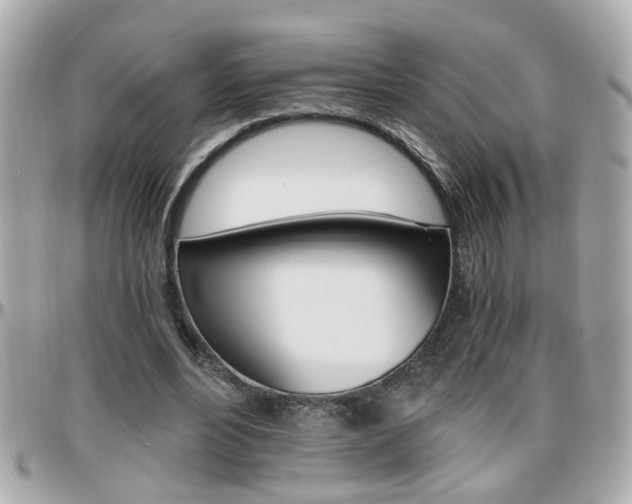 X0000096440488200801241121