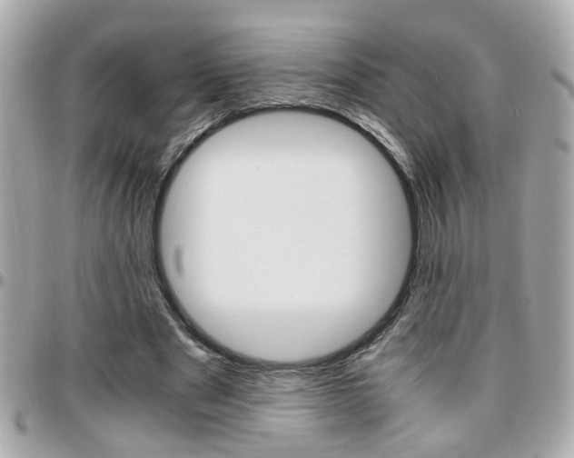 X0000096440489200801241121