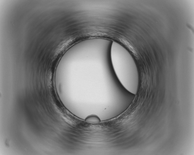 X0000096440490200801241121