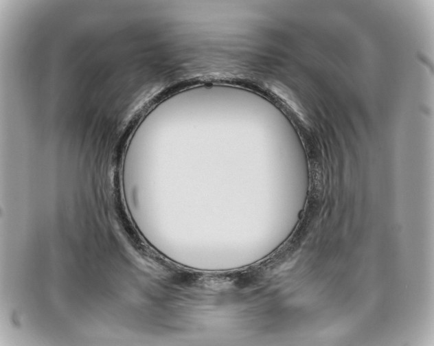 X0000096440491200801241121