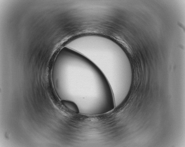 X0000096440492200801241121