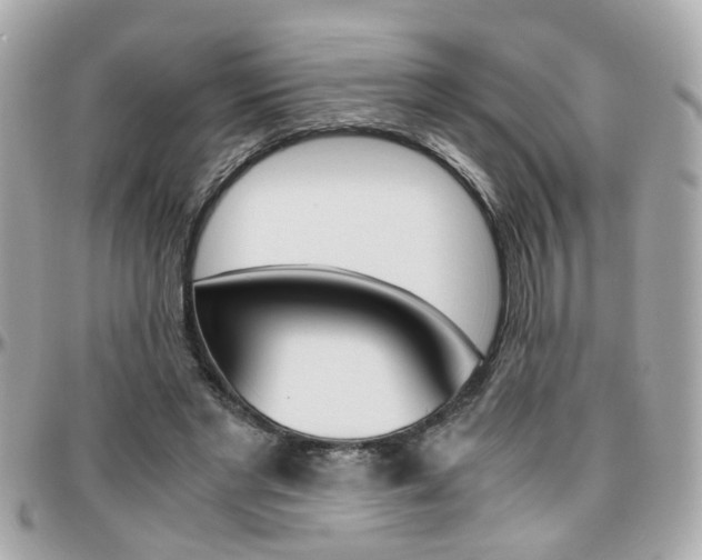 X0000096440493200801241121