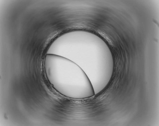 X0000096440494200801241121