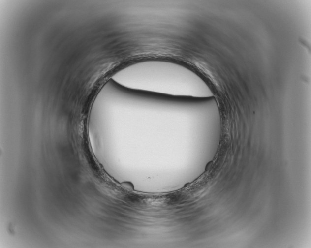 X0000096440495200801241121