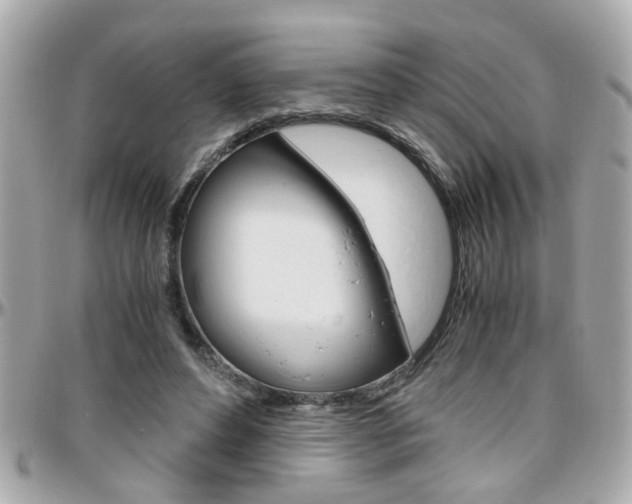 X0000096440496200801241121