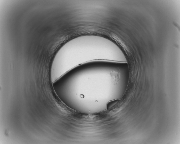 X0000096440497200801241121