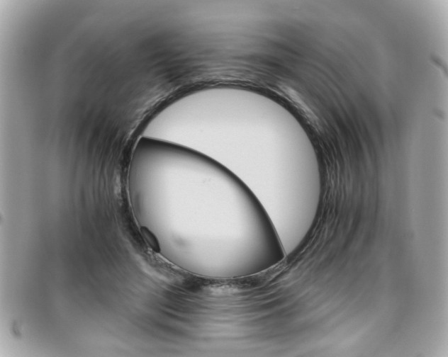 X0000096440500200801241121