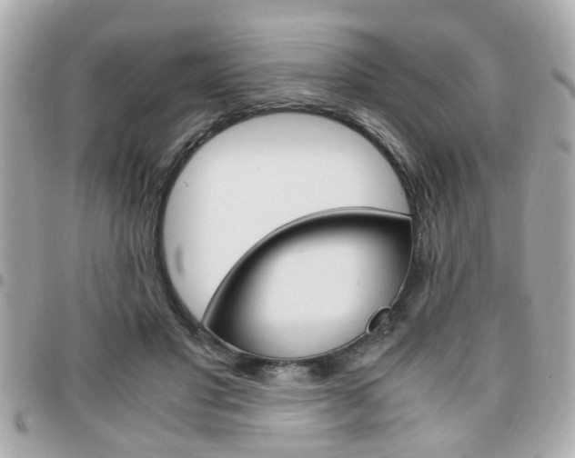 X0000096440501200801241121
