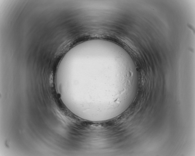 X0000096440502200801241121