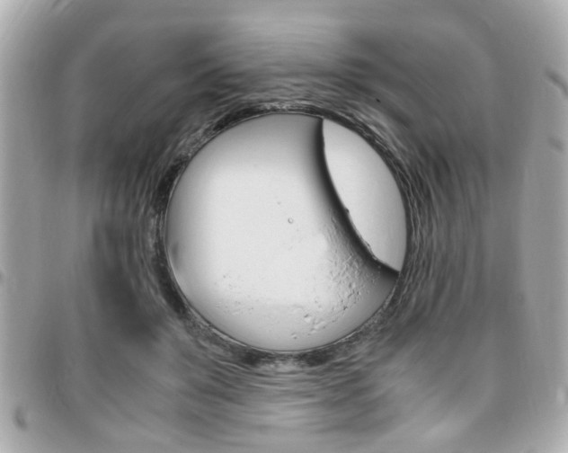 X0000096440503200801241121