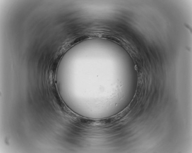 X0000096440504200801241121