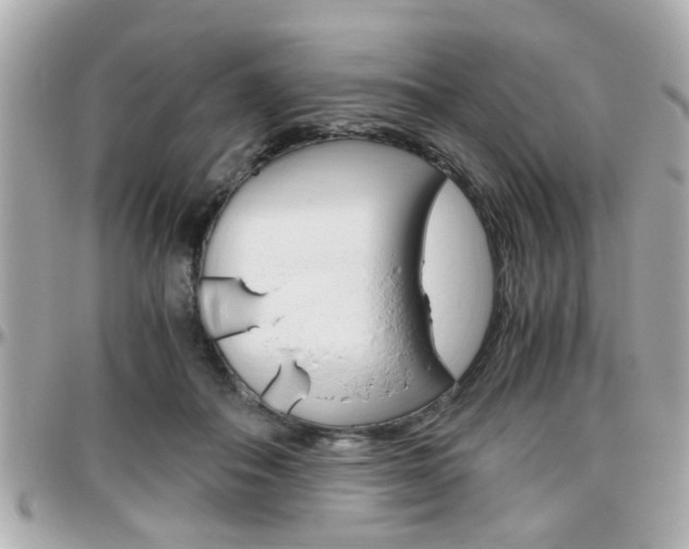 X0000096440506200801241121