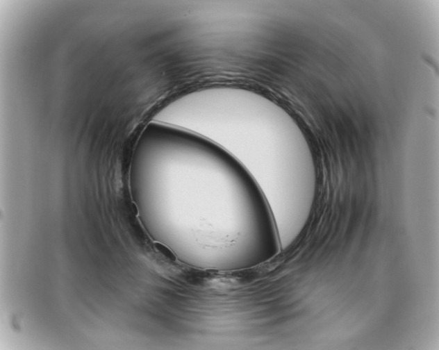 X0000096440508200801241121