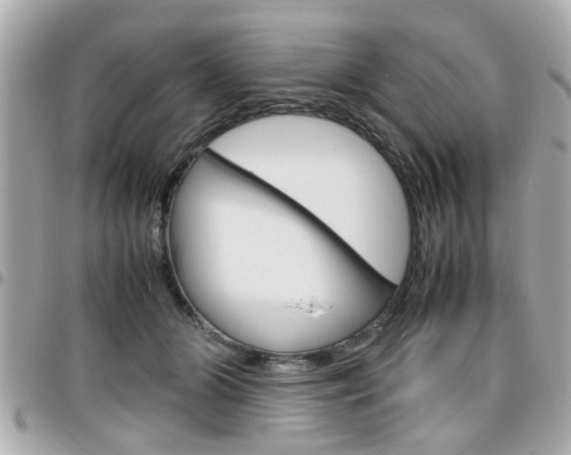 X0000096440510200801241121