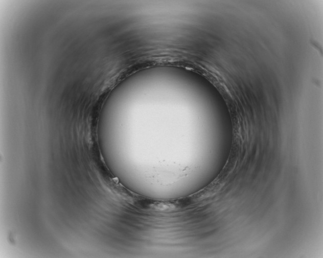 X0000096440512200801241121